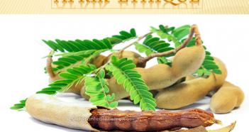 Projet Afrik'Ethique