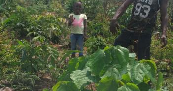 Ferme agricole de Menako