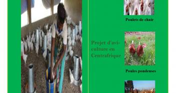 Ferme avicole bio Coq-RCA