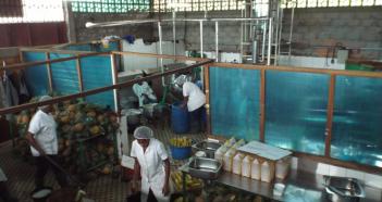 Transformation d'ananas en jus