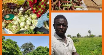 VITAL AGRI CONCEPT DE LA FERME CAP KEUR WALY