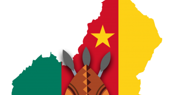 Africa Diaspora Fights Coronavirus for Cameroon