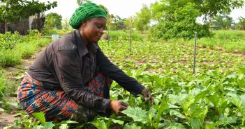 BIO AGROPASTORALISME