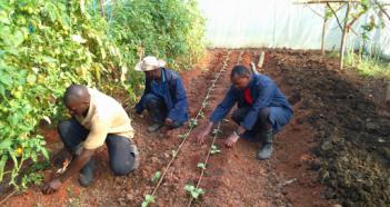 Ferme Agro-pastorale